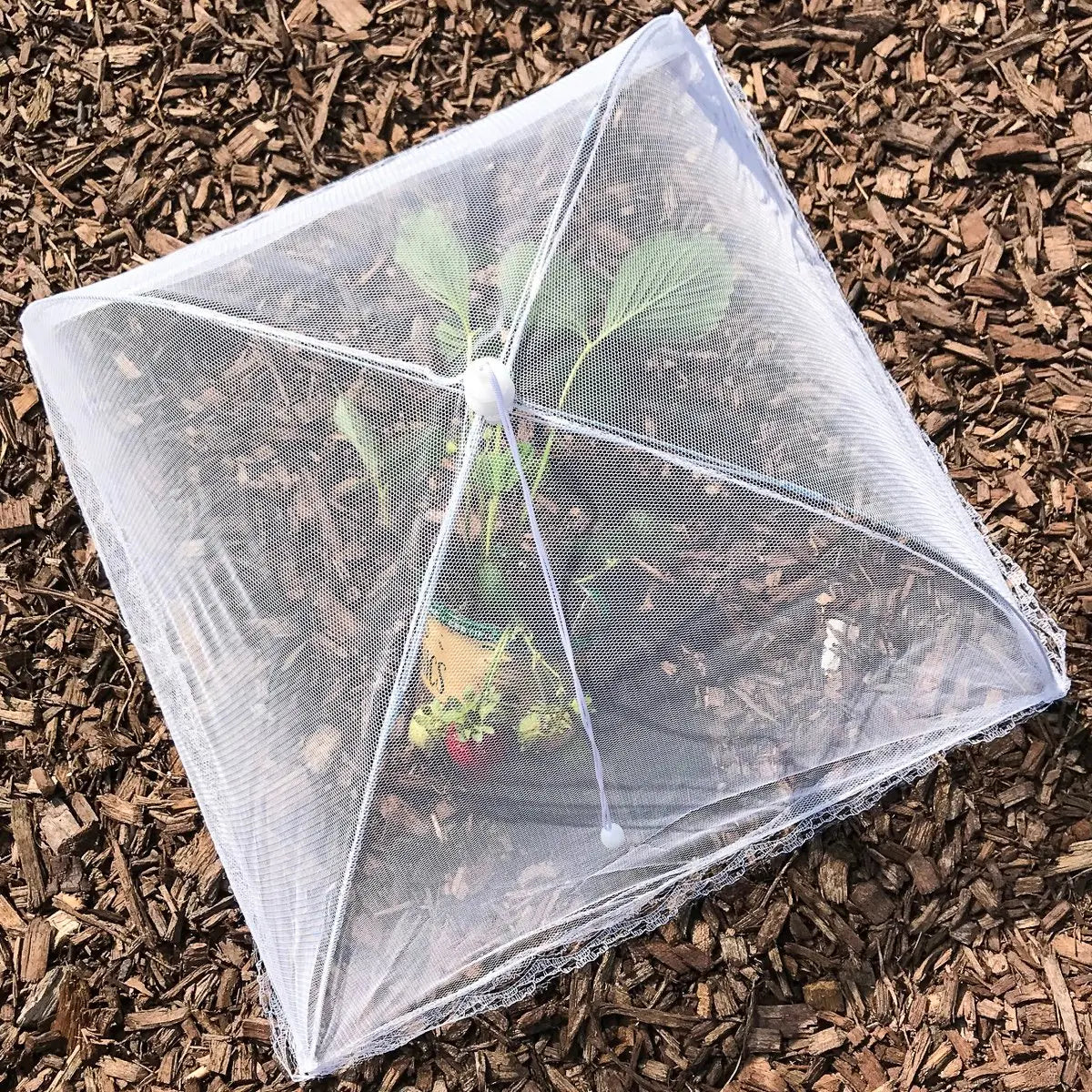 Collapsible Screen Umbrella Food Tent